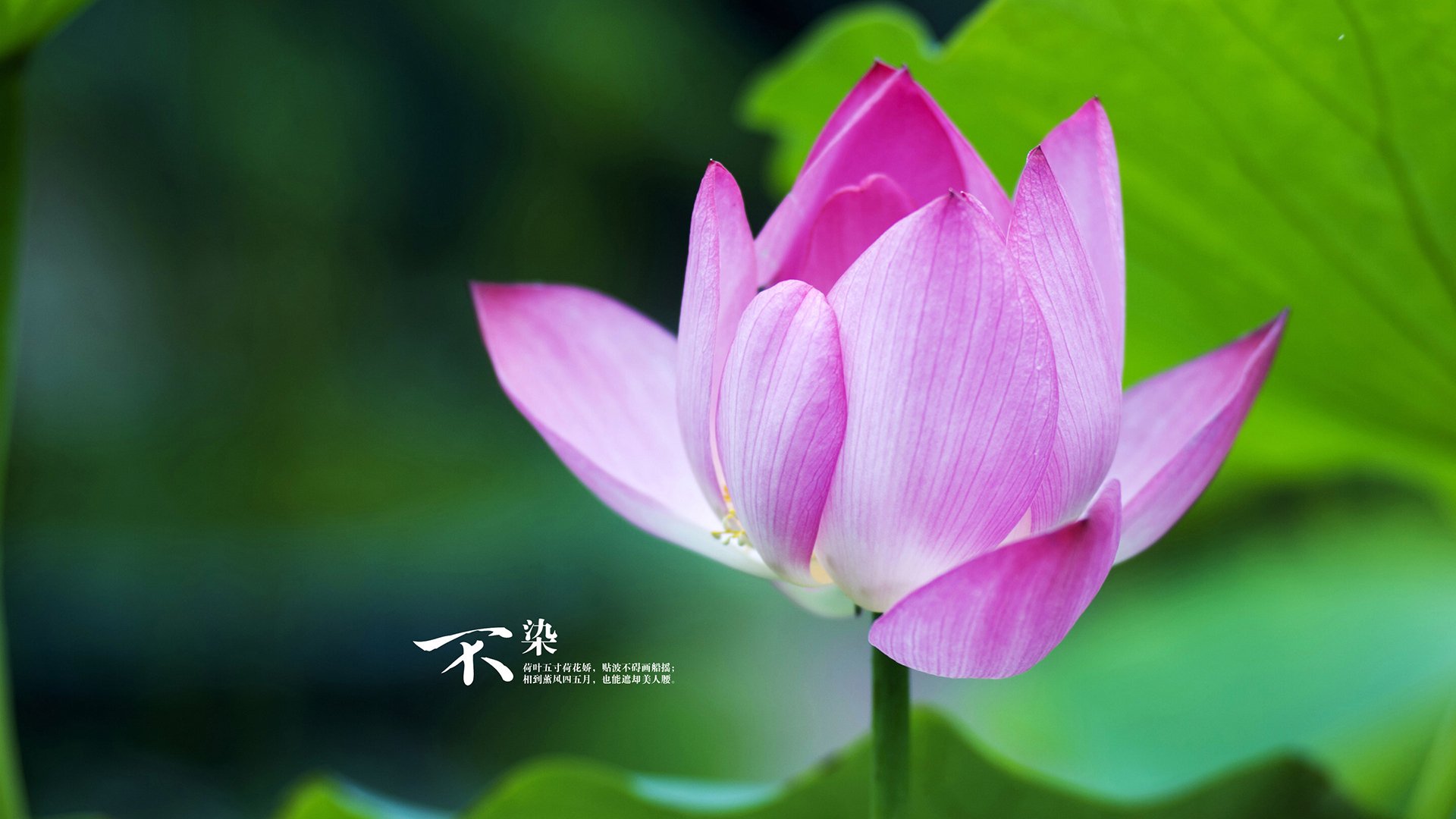 扩展思维，拟定标题