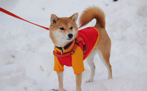 谁是英雄？一个非典型英雄的西甲国家德比之夜