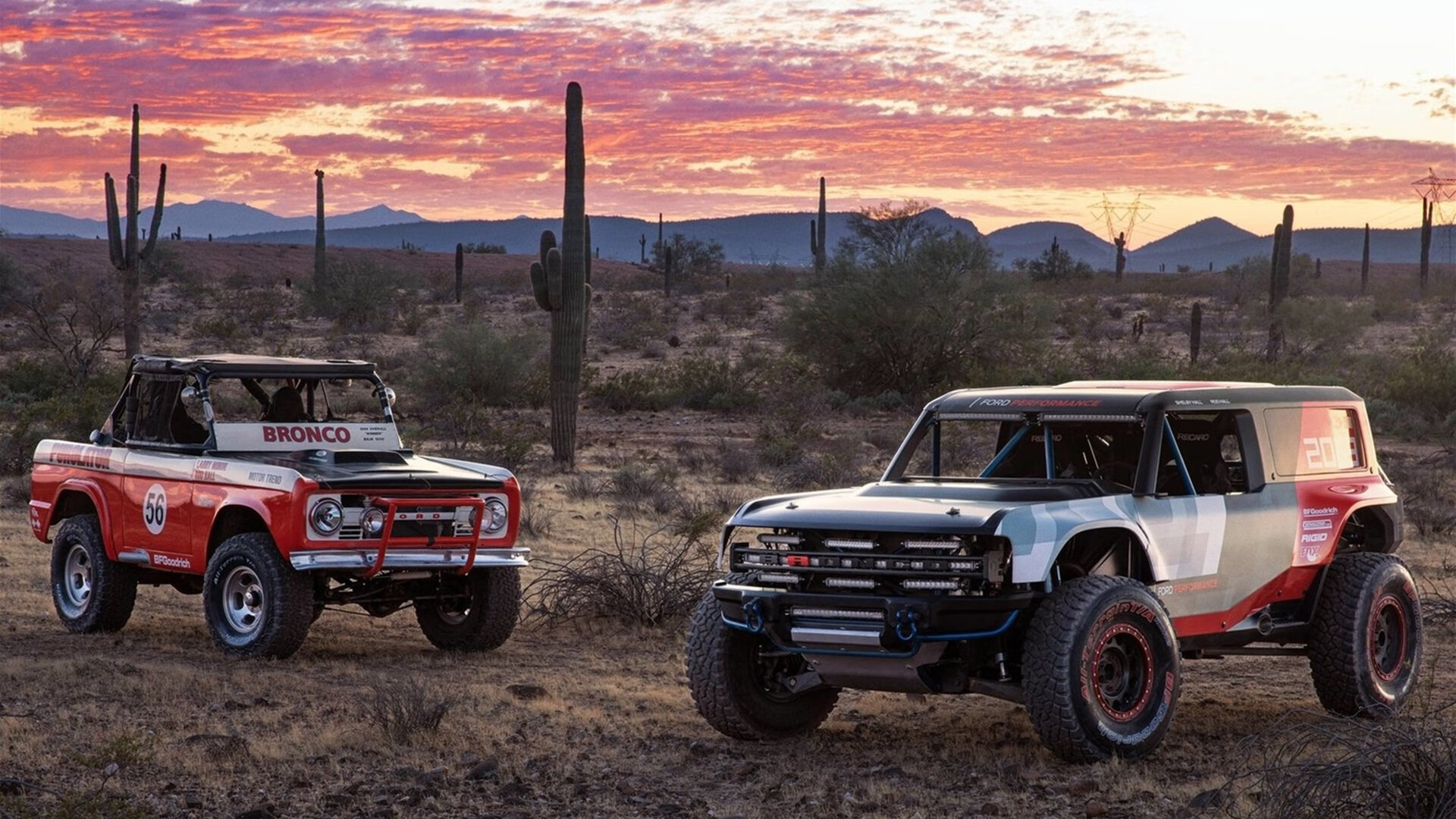 球场两端的统治者，约基奇与魔术队展现篮球真谛