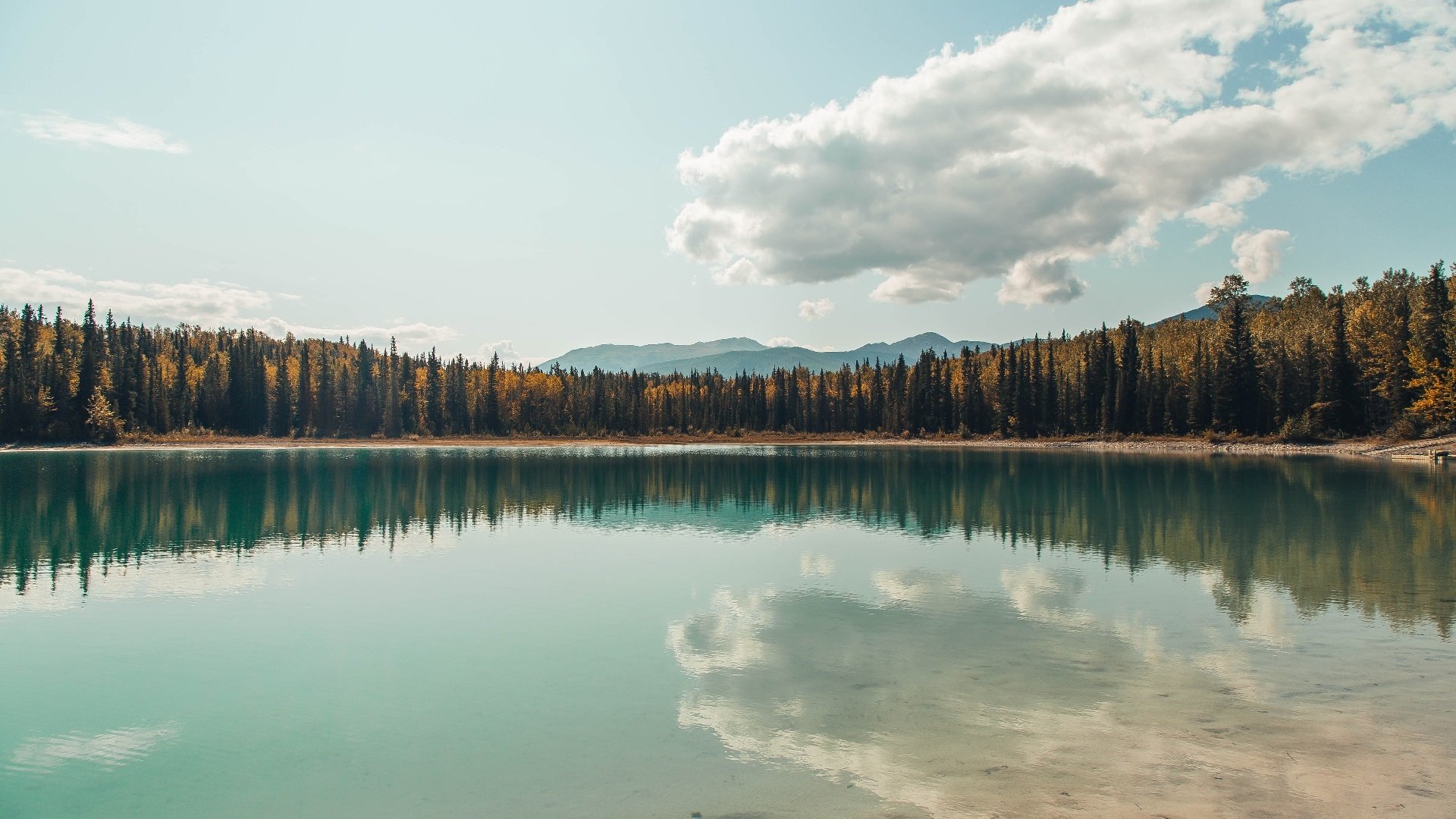 商业篮球与统治力的两极叙事，当湖人粉碎浙江，约基奇正在重塑季后赛