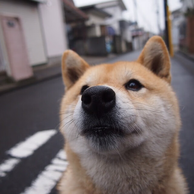 西亚卡姆化身金州守护者，山神归位，末节暴走碾碎湖人反扑