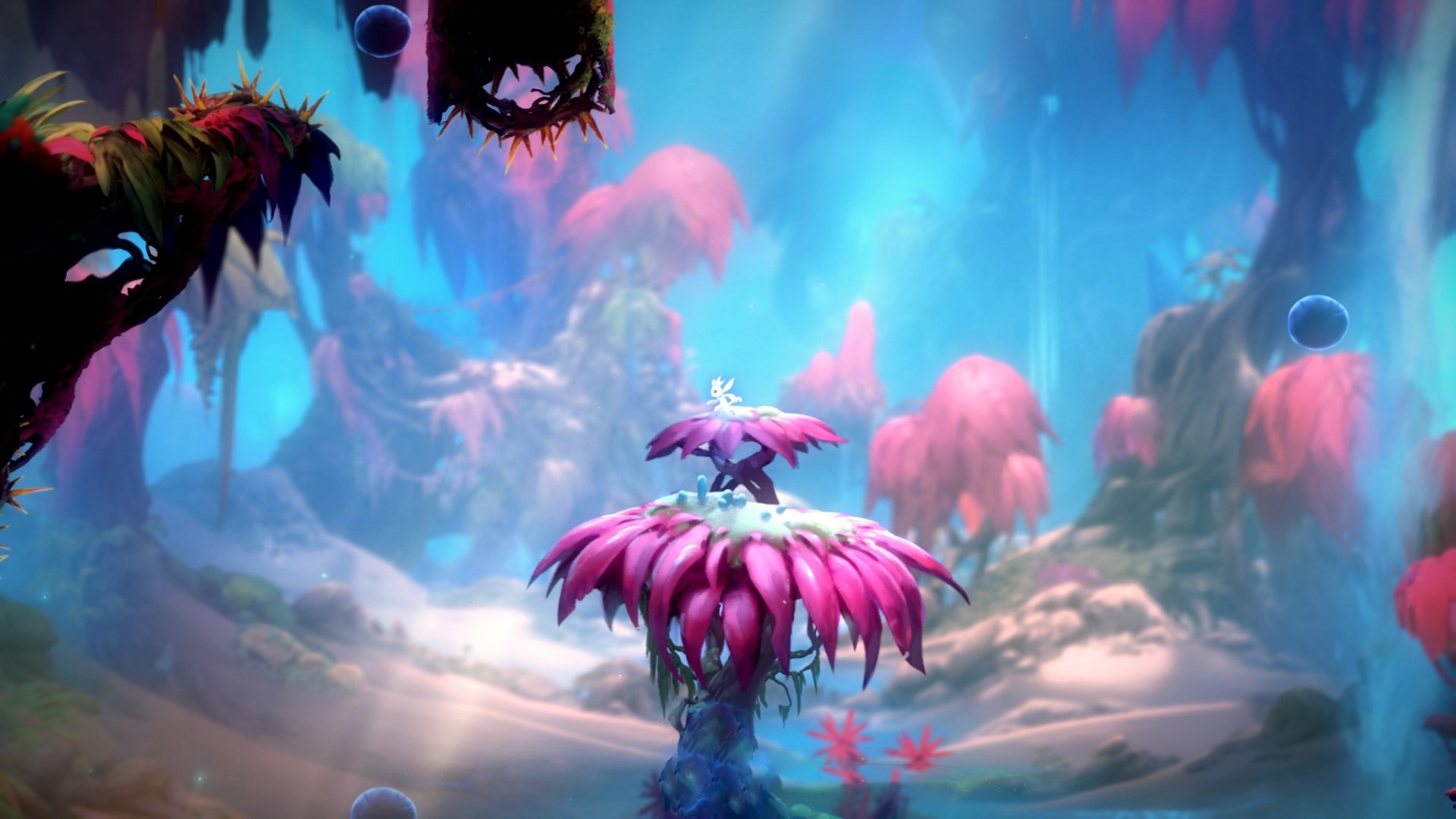 横空出世的鹰翼，迪马利亚临危救主，波兰爆冷力克荷兰