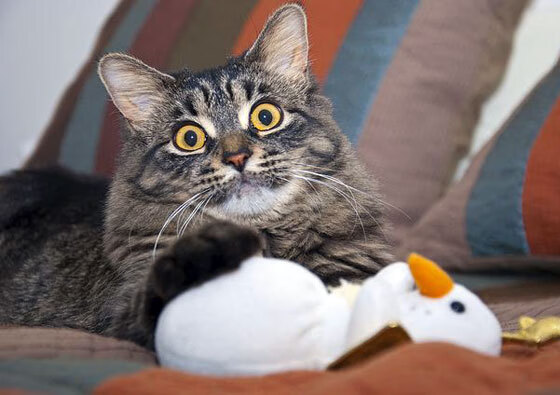 收割者与奇才，当保罗按下高能键