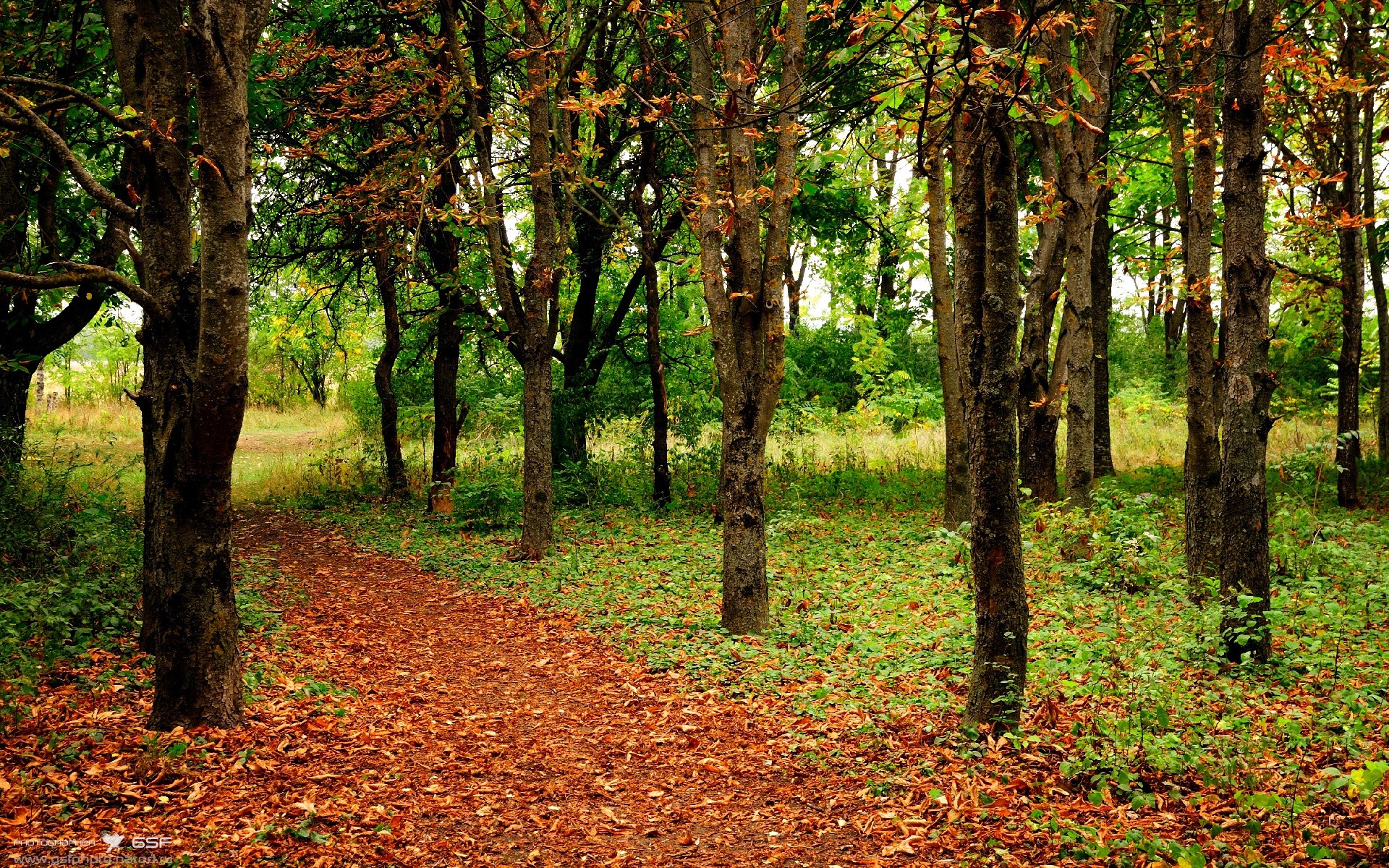 天平倾斜的瞬间，当罗德里站上悬崖，法国与加纳的剧本就此改写