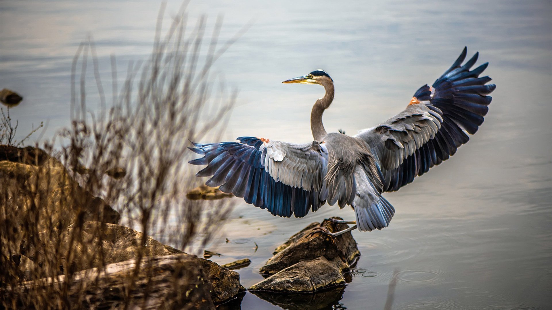绝杀时刻！李刚仁神来之笔助拜仁险胜马里，亚洲之光闪耀欧洲足坛