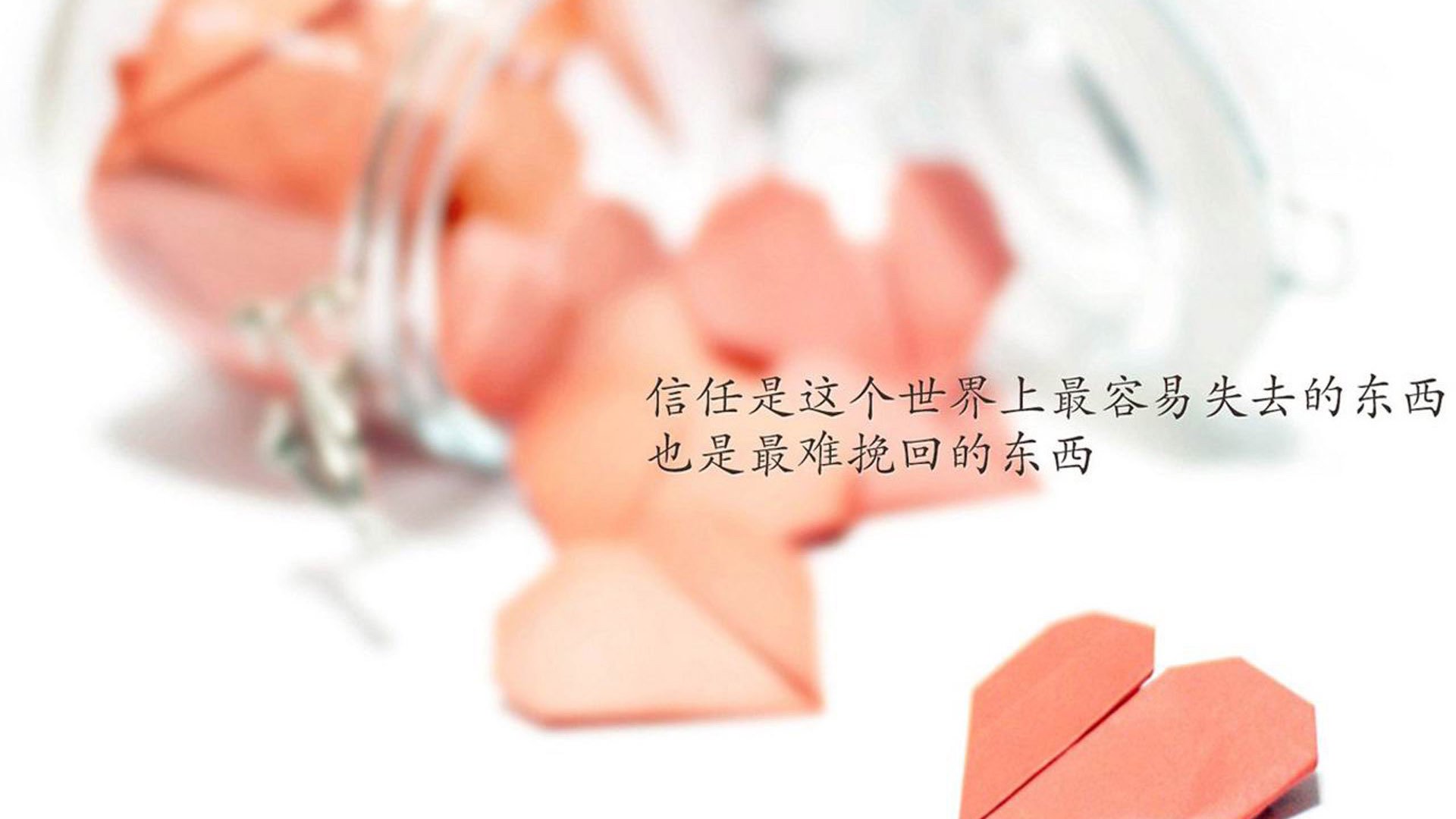 逆行的魔术师,阿诺德如何在2026世界杯C组底牌之战中,用一次唯一的战略锁死定义阿根廷与伊朗的宿命