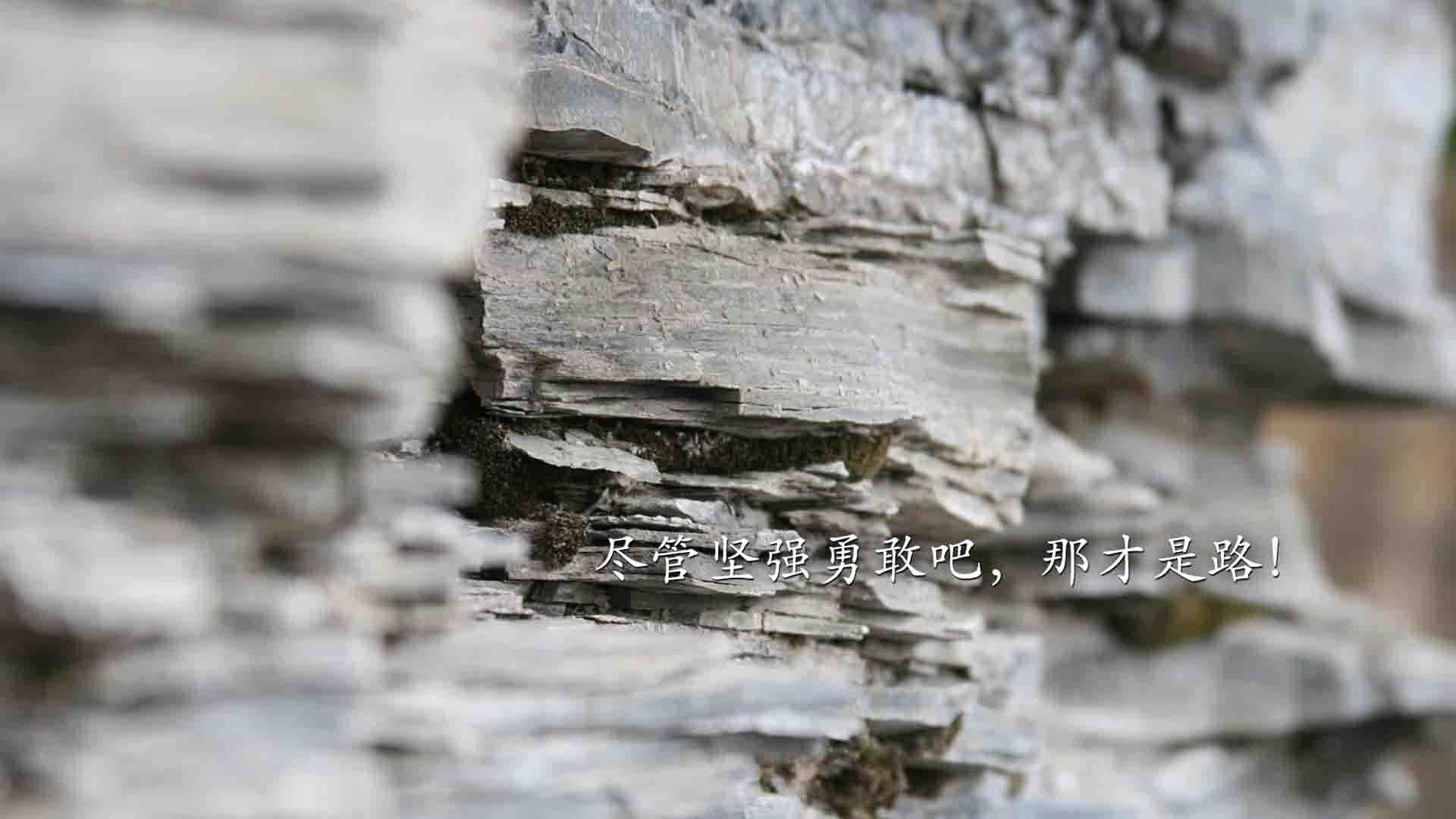 冰与火之歌,当传控遇上铁幕,布罗佐维奇用反足球的哲学,撕碎了西班牙的美梦