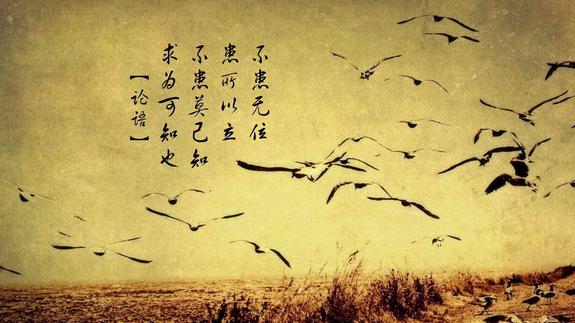 唯一性的绝唱,2026世界杯B组那一夜的宿命对决